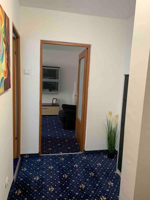 Cozy & Warm Studio بوخارست المظهر الخارجي الصورة